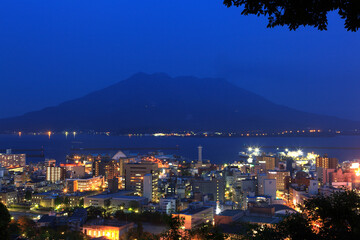 城山公園からの桜島の夜景