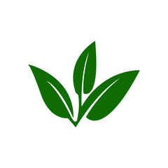 Green leaf ecology nature element vector icon