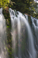 Fototapeta premium 滝