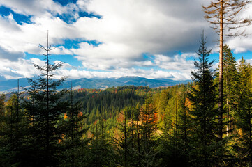 Fall mountain landscape of Yablunytsia Pass in Zakarpattia Ukraine