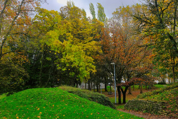 Naklejka premium arbres dans un parc en automne