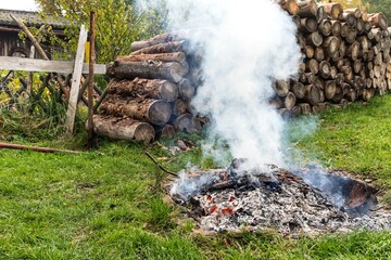 Burning tree bark. Outdoor fireplace. Disposal of bark beetles. Work on the farm. Burning fire.