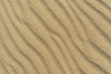 Fototapeta na wymiar Desert Sand texture. Dune golden