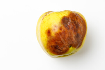 bad natural yellow apple on a white background