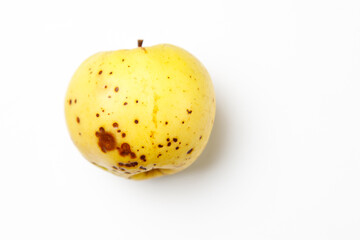 Yellow eco apple on a white background