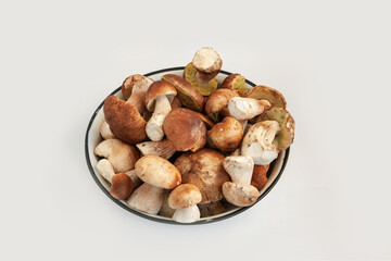 Beautiful fresh porcini mushrooms  in metal basin on white background isolated season healthy food 