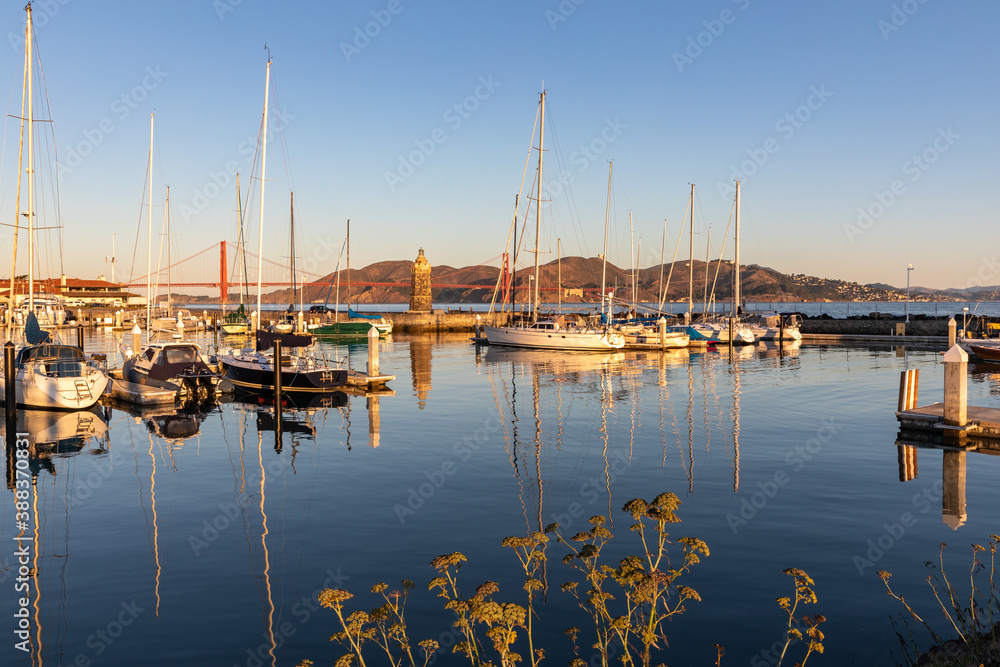 Wall mural sailboats in the harbor near golden gate bridge, san francisco, california