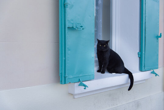 un chat noir assis sur une fen&ecirc;tre