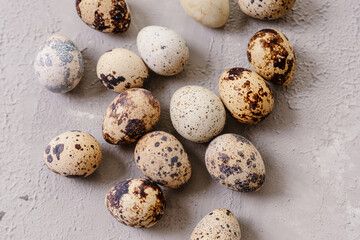 Obraz premium Quail egg on gray background