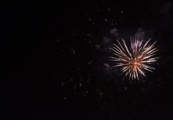 Fototapeta premium Firework stars, fireworks in the night sky.