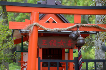 金剛峯寺　蓮池の善女龍王