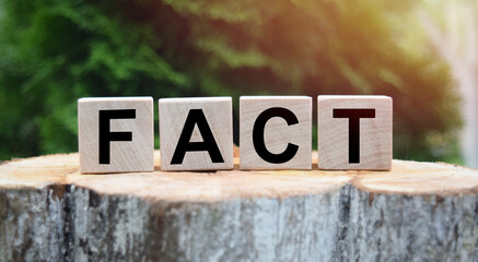 The word FACT is written on wooden cubes. Wooden cubes on a green lawn background for your design, concepts.