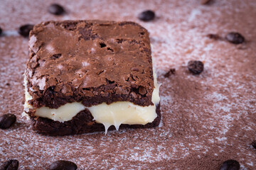 Chocolate brownie with milk powder delicious filling. Closeup photography.