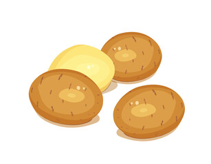 Potatoes. Set of Vegetable foodstuff. Agriculture organic product. Natural meal. Isolated on white background. Illustration.