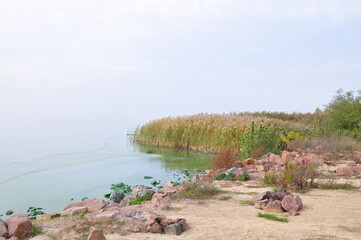 lake in the forest, quiet place near sea, coast, colorful rocks and  reeds