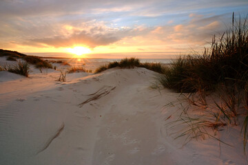 Fototapeta Morze Bałtyckie ,zachód słońca,wydma,trawa,plaża,biały piasek,Kołobrzeg,Polska. obraz