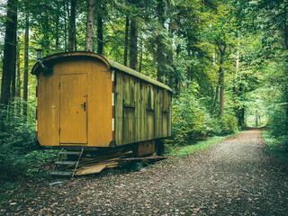 Bahnkontainer im Wald
