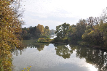 autumn landscape with lake and trees in the forest