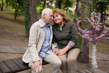 Fototapeta premium Senior elder couple together in park in spring or autumn. Beautiful love relation and care of retirement old people.
