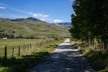 Fototapeta premium Panoramic road Durmitor. Picturesque mountain landscape of Durmitor National Park, Montenegro, Europe, Balkans, Dinaric Alps, UNESCO World Heritage Site.