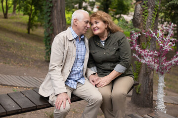 Fototapeta premium Senior couple together in park in spring or autumn. Beautiful love relation and care of retirement old people.