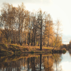 Fototapeta na wymiar Late autumn landscape. Trees on the opposite coast reflect in the water surface. Retro style fade look image.