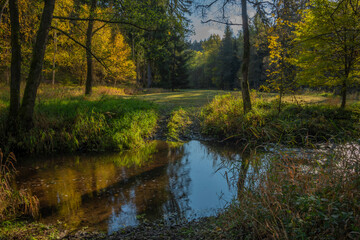 Utersky creek with color trees and meadow near Utery town in autumn evening