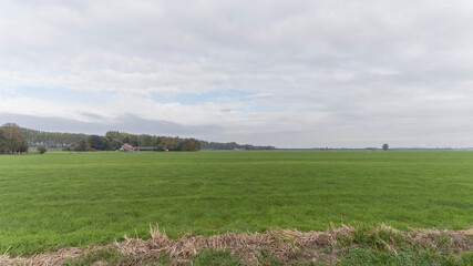 Fototapeta premium Agricultural fields near Vreeland, the Netherlands