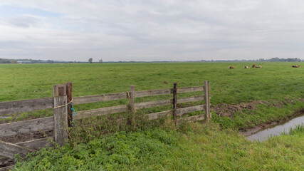 Fototapeta na wymiar Agricultural fields near Vreeland, the Netherlands
