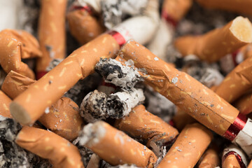 cigarette butts