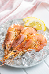 Boiled tiger prawns with ice on plate. Tasty shrimps.