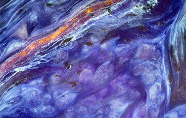 dark blue color charoite macro texture