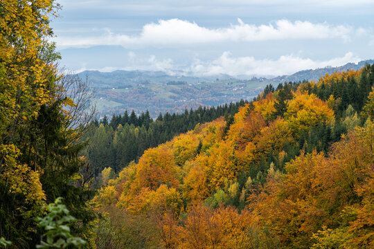 Herbstlandschaft © Markus