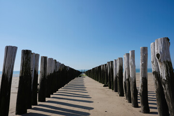 Wooden Posts of a beach erosion protection system along the beach at the town of Vlissingen in Zeeland Province in the Netherlands