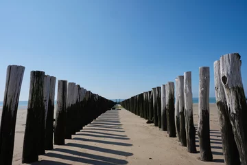  Wooden Posts of a beach erosion protection system along the beach at the town of Vlissingen in Zeeland Province in the Netherlands © Tjeerd