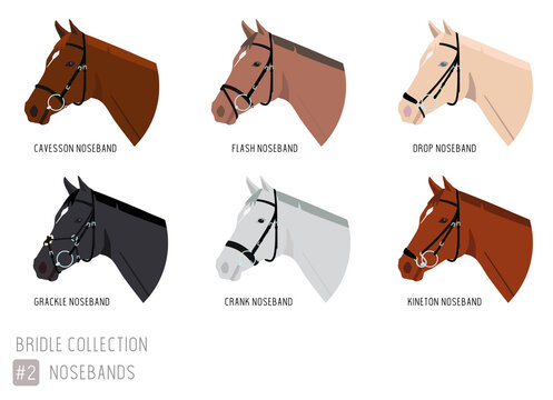 Set of Horse Bridles with Noseband Types