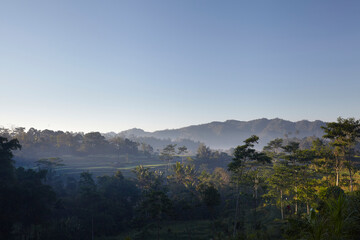 Obraz premium The intense green hillside of a traditional rice terrace in the beautiful Sidemen Valley of east Bali, Indonesia is one of the most tranquil places on earth.