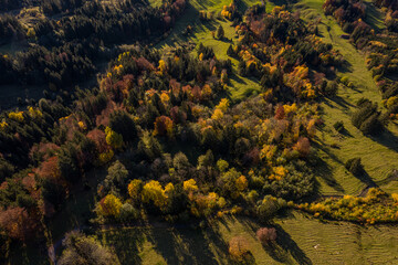 Herbstwald 