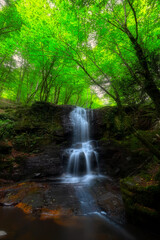 It's autumn time. Beautiful waterfall streams and colorful leaves.
