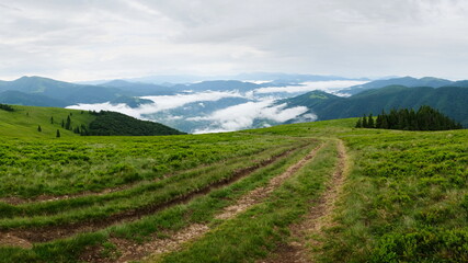 Fototapeta na wymiar Dirt road tracks on the green meadow in Carpathian mountains. Clouds over valley in the morning. Stunning mountain landscape. Ukraine.