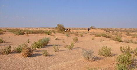 travesia por el desierto del sahara  cerca de la poblacion de Douz, Tunez