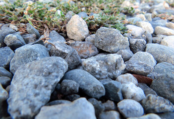 Stones, texture, paving stones