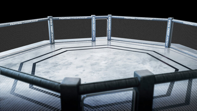 MAA octagon top view. Fighting Championship. Isolated MMA octagon. 3D rendering
