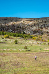 Traveler autumn adventure shepherd lone minimal in grass facing large rock hill colorful trees orange yellow green blue