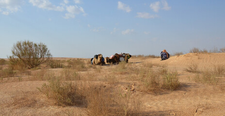 Fototapeta na wymiar travesia por el desierto del sahara cerca de la poblacion de Douz, Tunez