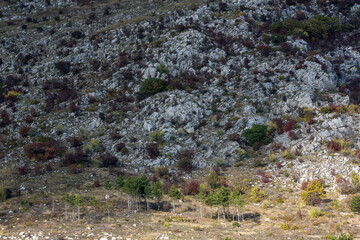 Bulgarian countryside rock hill autumn shades sunny day green warm forest
