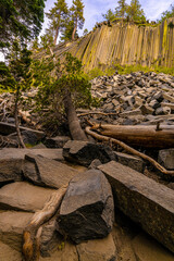 Fototapeta na wymiar This is Devil's Postpile National Monument in California, where everything is at an angle!