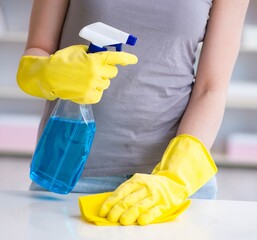 Woman doing cleaning at home