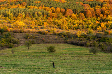 Traveler autumn adventure photographer vlogger modern minimal in grass facing large forest hill colorful trees orange yellow green bulgaria