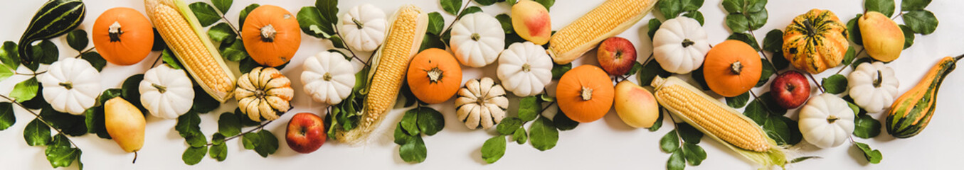 Autumn floral layout. Flat-lay of Fall pumpkins, apples, pears, corn and leaves over plain white background, top view, wide composition. Halloween, Thanksgiving or Autumn table decoration concept
